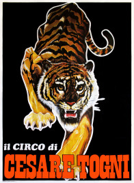 Il Circo di Cesare Togni Circus poster - Italy, 0