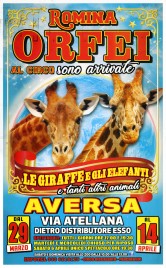 Circo Romina Orfei Circus poster - Italy, 2019
