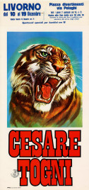 Circo Cesare Togni Circus poster - Italy, 1976