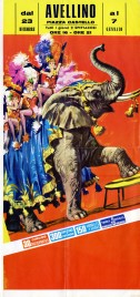 Unknown Circus Circus poster - Italy, 0