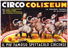 Circo Coliseum Circus poster - Italy, 