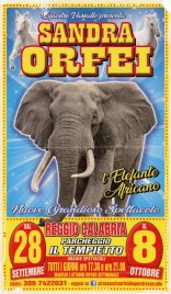Circo Sandra Orfei Circus poster - Italy, 2018