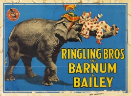 Ringling Bros. and Barnum & Bailey Circus Circus poster - USA, 1955