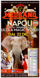 Circo Medrano Circus poster - Italy, 2013