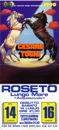 Circo Cesare Togni Circus poster - Italy, 1990