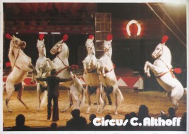 Circus Carl Althoff Circus poster - Germany, 1974