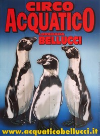 Circo Acquatico Bellucci Circus poster - Italy, 2007