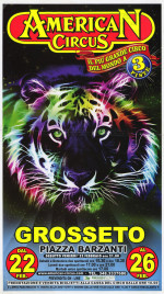 American Circus (Togni) Circus poster - Italy, 2013