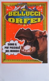 Circo Bellucci + Mario Orfei Circus poster - Italy, 2013