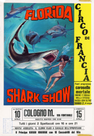 Circo di Francia Circus poster - Italy, 1984