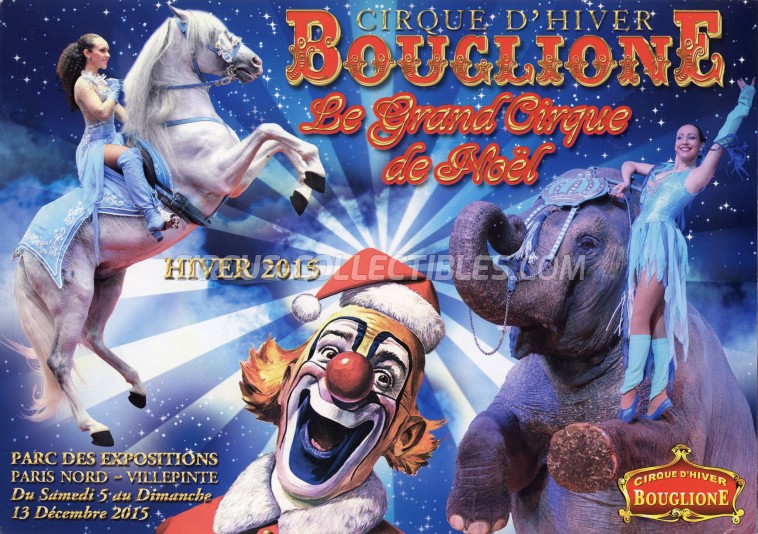 Bouglione Circus Ticket/Flyer - France 2015