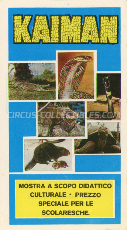 Kaiman Circus Ticket/Flyer -  