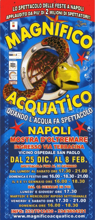 Acquatico Circus Ticket/Flyer - Italy 2014