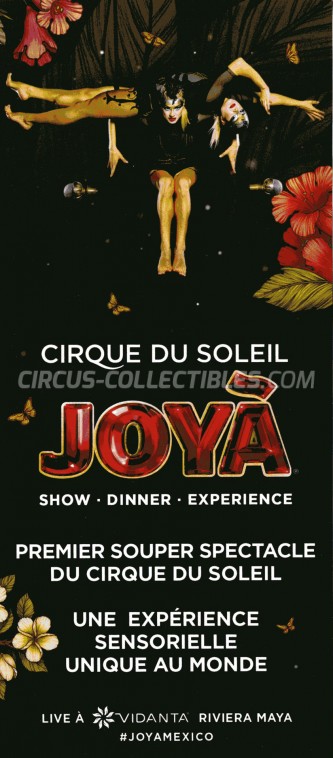 Cirque du Soleil Circus Ticket/Flyer - Mexico 2016