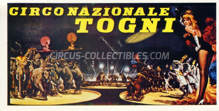 Circo Nazionle Togni Circus Ticket/Flyer - Italy 0