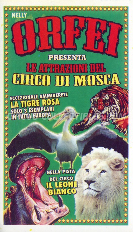 Nelly Orfei Circus Ticket/Flyer - Italy 2013