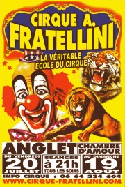 Cirque A. Fratellini Circus Ticket - 2012