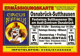 Circus Pfiffikus Circus Ticket - 2014