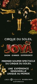 Cirque Du Soleil - JOYÀ Circus Ticket - 2016