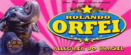 Circo Rolando Orfei Circus Ticket - 2013