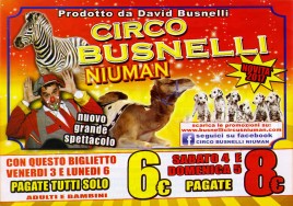 Busnelli Niuman Circus Circus Ticket - 2017