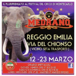 Circo Medrano Circus Ticket - 2015